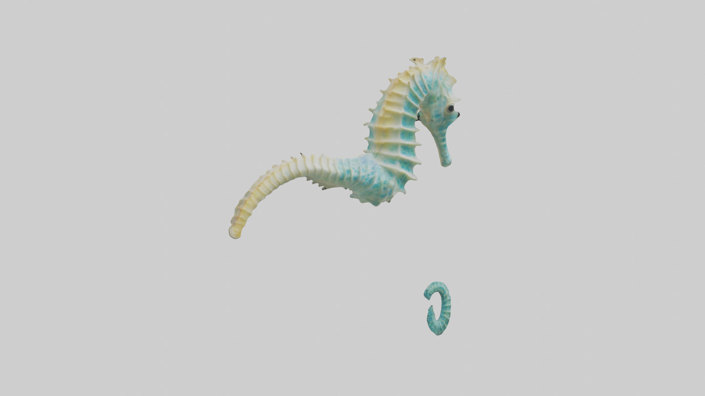 3D model Seahorse swimming model VR / AR / low-poly