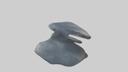 Seal Flippers 3D model