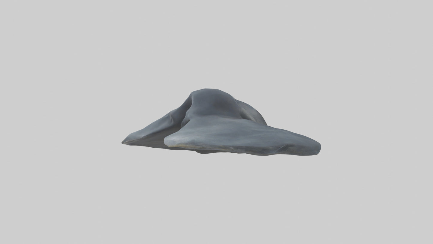 Seal Flippers 3D model