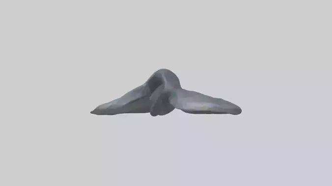 Seal Flippers 3D model