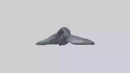 Seal Flippers 3D model