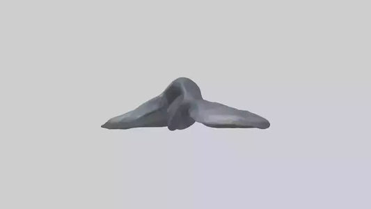 Seal Flippers 3D model