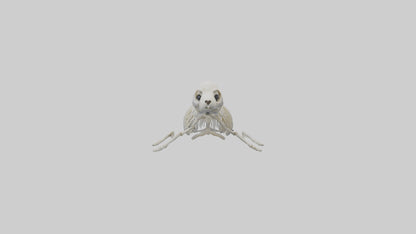 Seal Pup Skeleton model 3D model