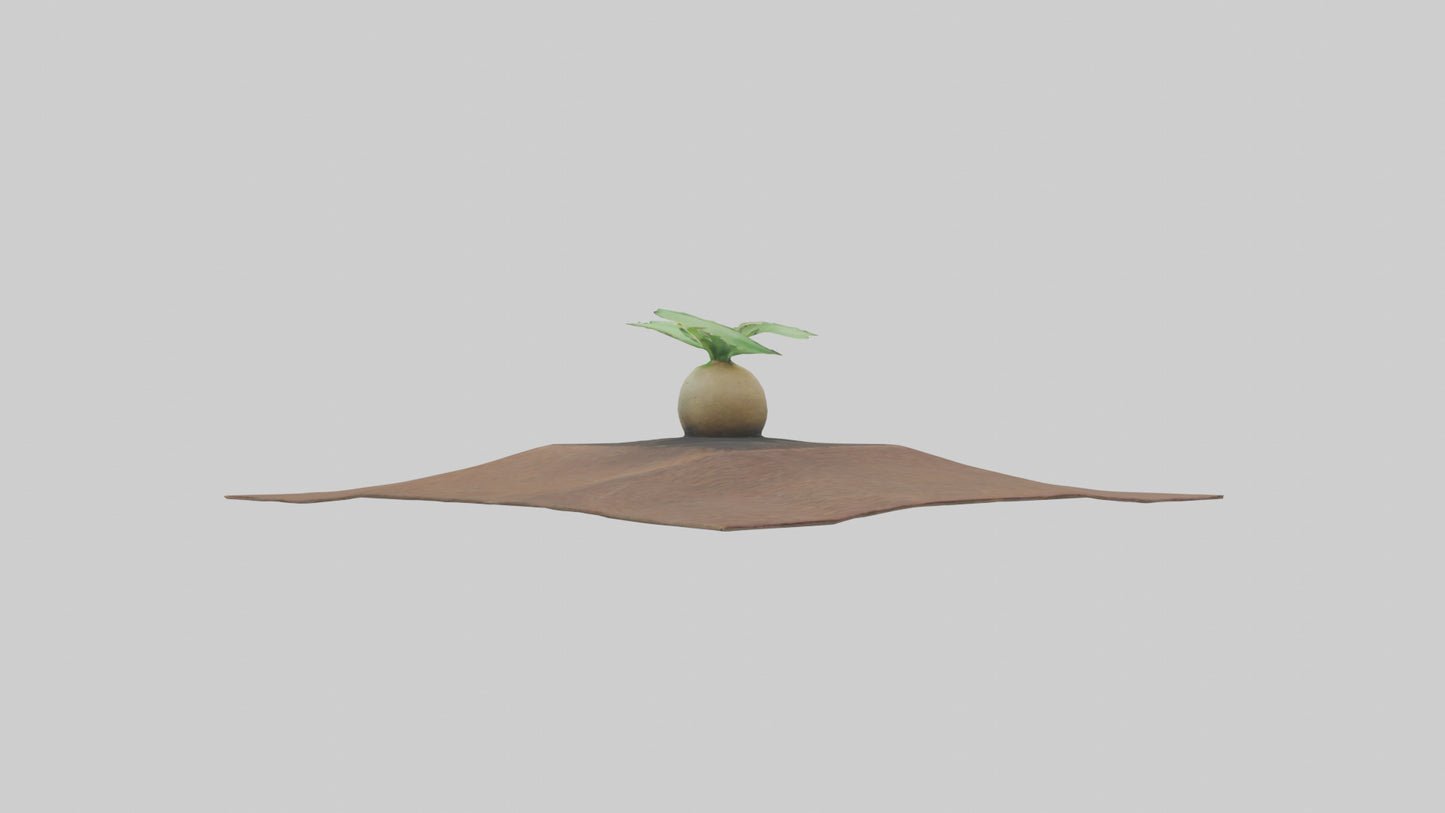 Seed Germination Sculpture model 3D model