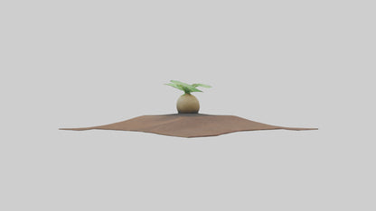 Seed Germination Sculpture model 3D model