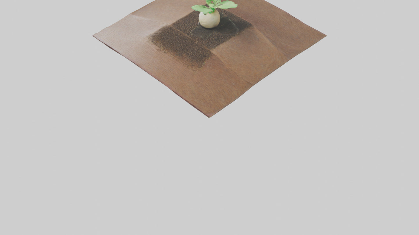 Seed Germination Sculpture model 3D model