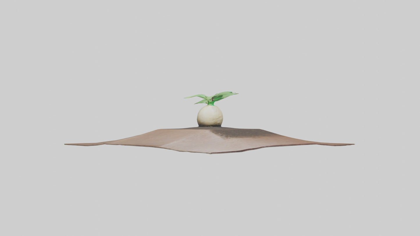 Seed Germination Sculpture model 3D model