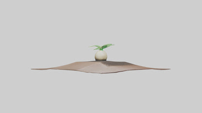 Seed Germination Sculpture model 3D model