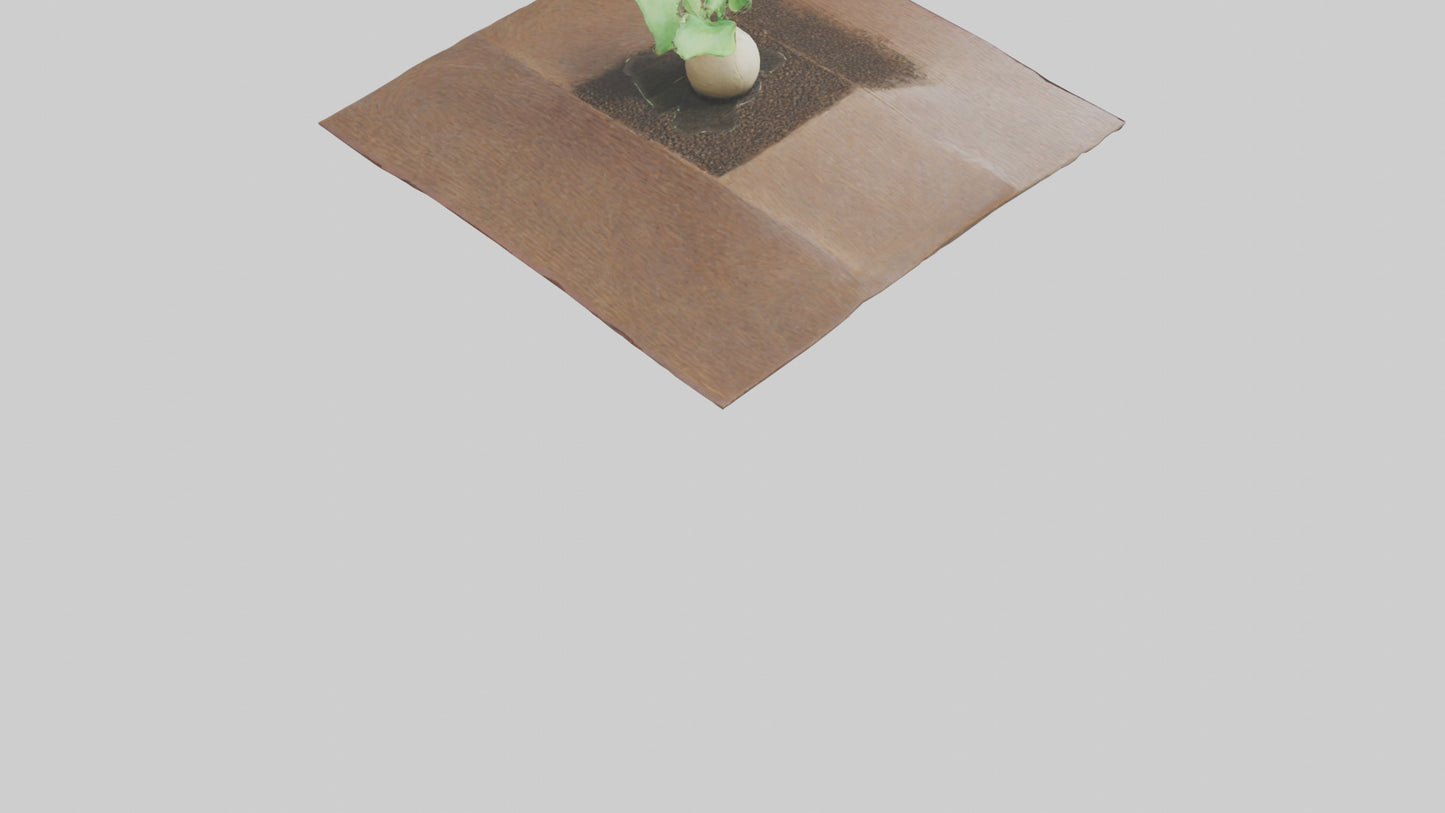 Seed Germination Sculpture model 3D model