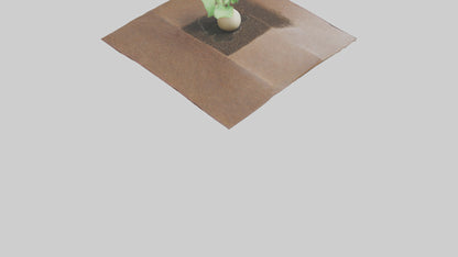 Seed Germination Sculpture model 3D model