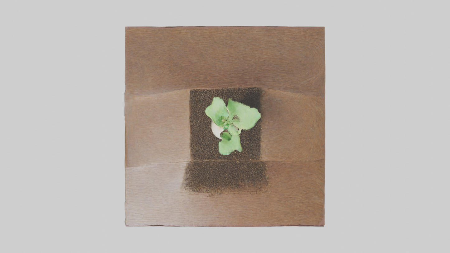 Seed Germination Sculpture model 3D model