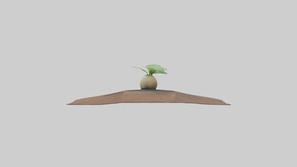 Seed Germination Sculpture model 3D model