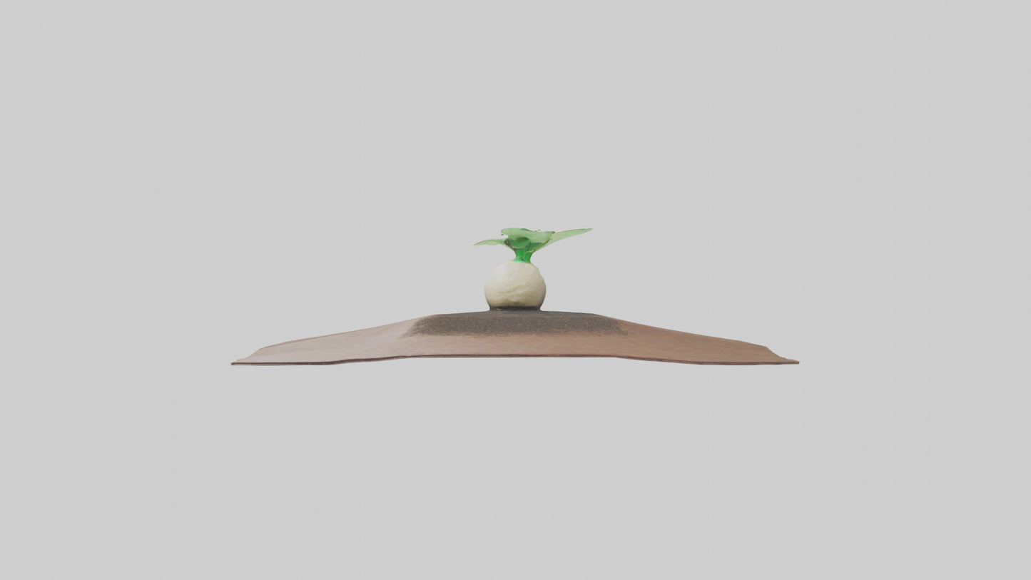 Seed Germination Sculpture model 3D model