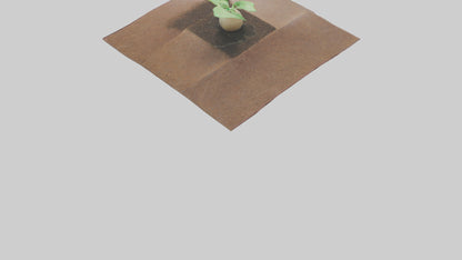 Seed Germination Sculpture model 3D model