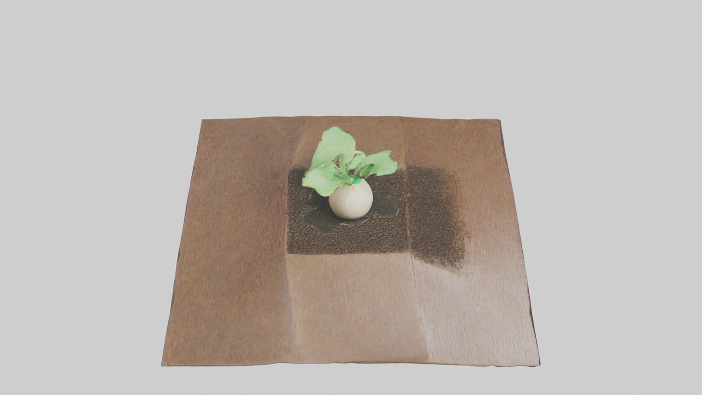 Seed Germination Sculpture model 3D model
