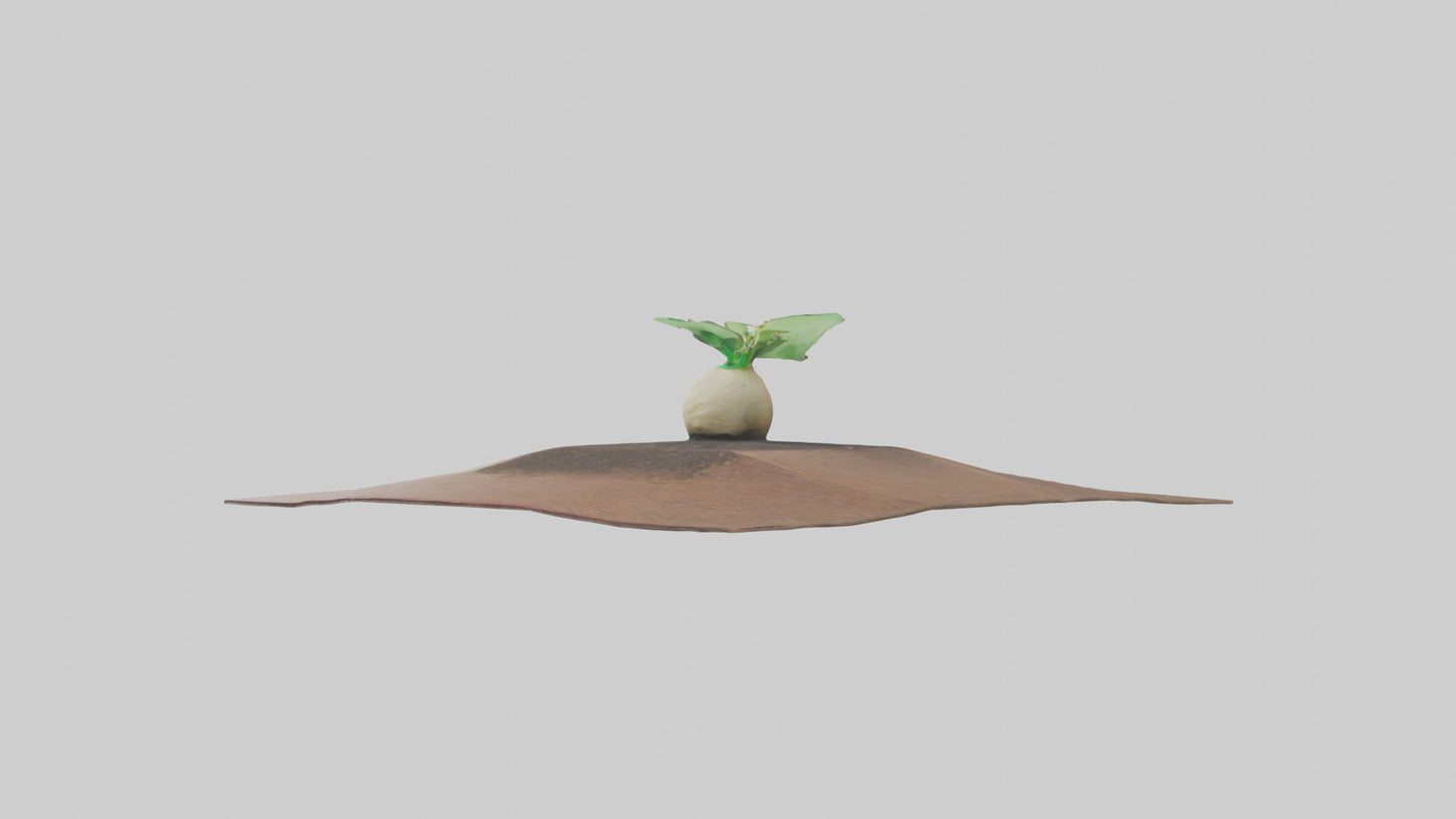 Seed Germination Sculpture model 3D model