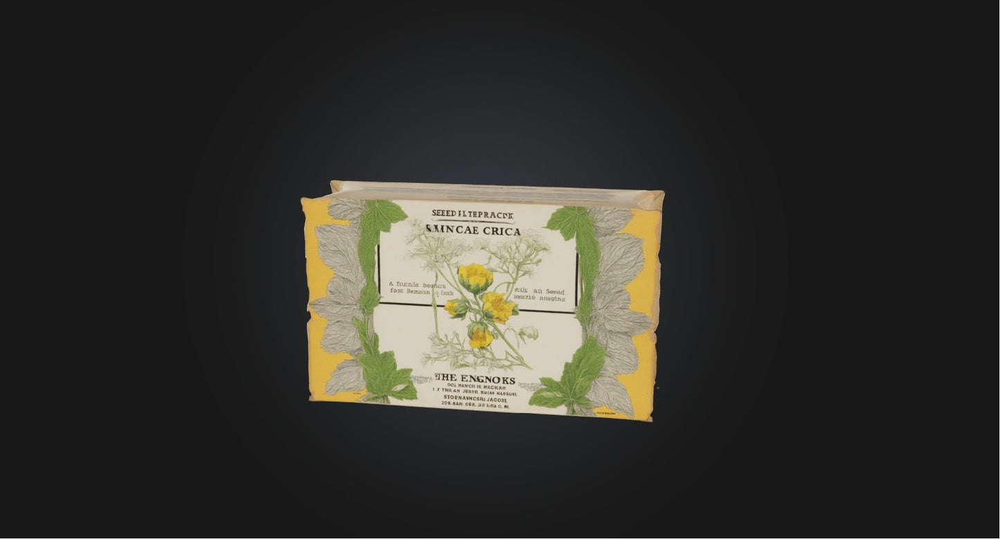 3D model Seed packet VR / AR / low-poly