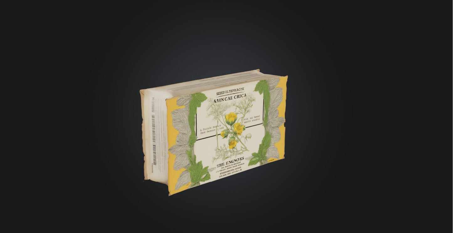 3D model Seed packet VR / AR / low-poly