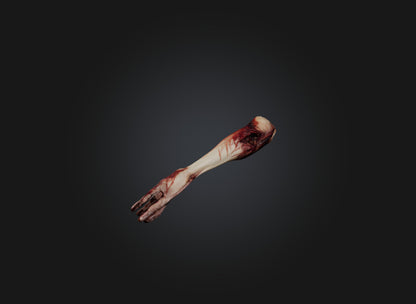 3D model severed arm VR / AR / low-poly