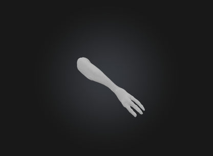 3D model severed arm VR / AR / low-poly