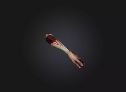 3D model severed arm VR / AR / low-poly