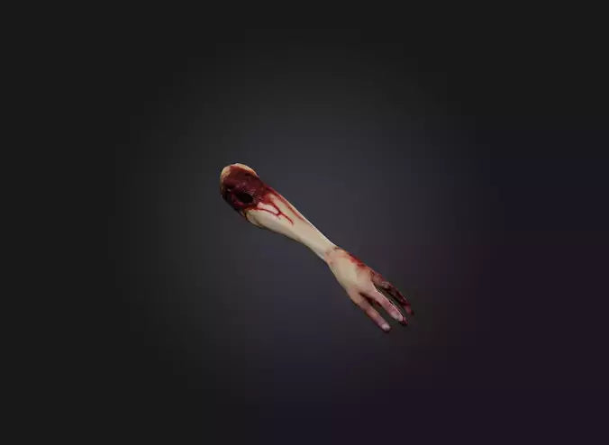 3D model severed arm VR / AR / low-poly