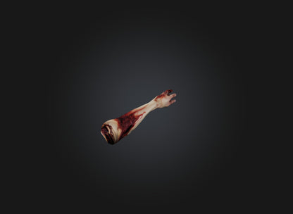 3D model severed arm VR / AR / low-poly