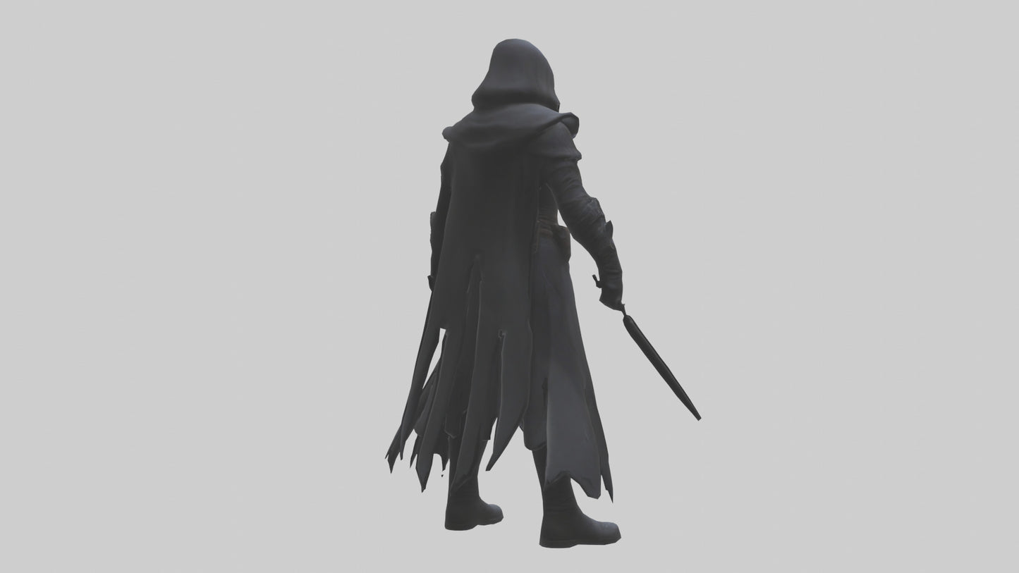 Shadow assassin model 3D model