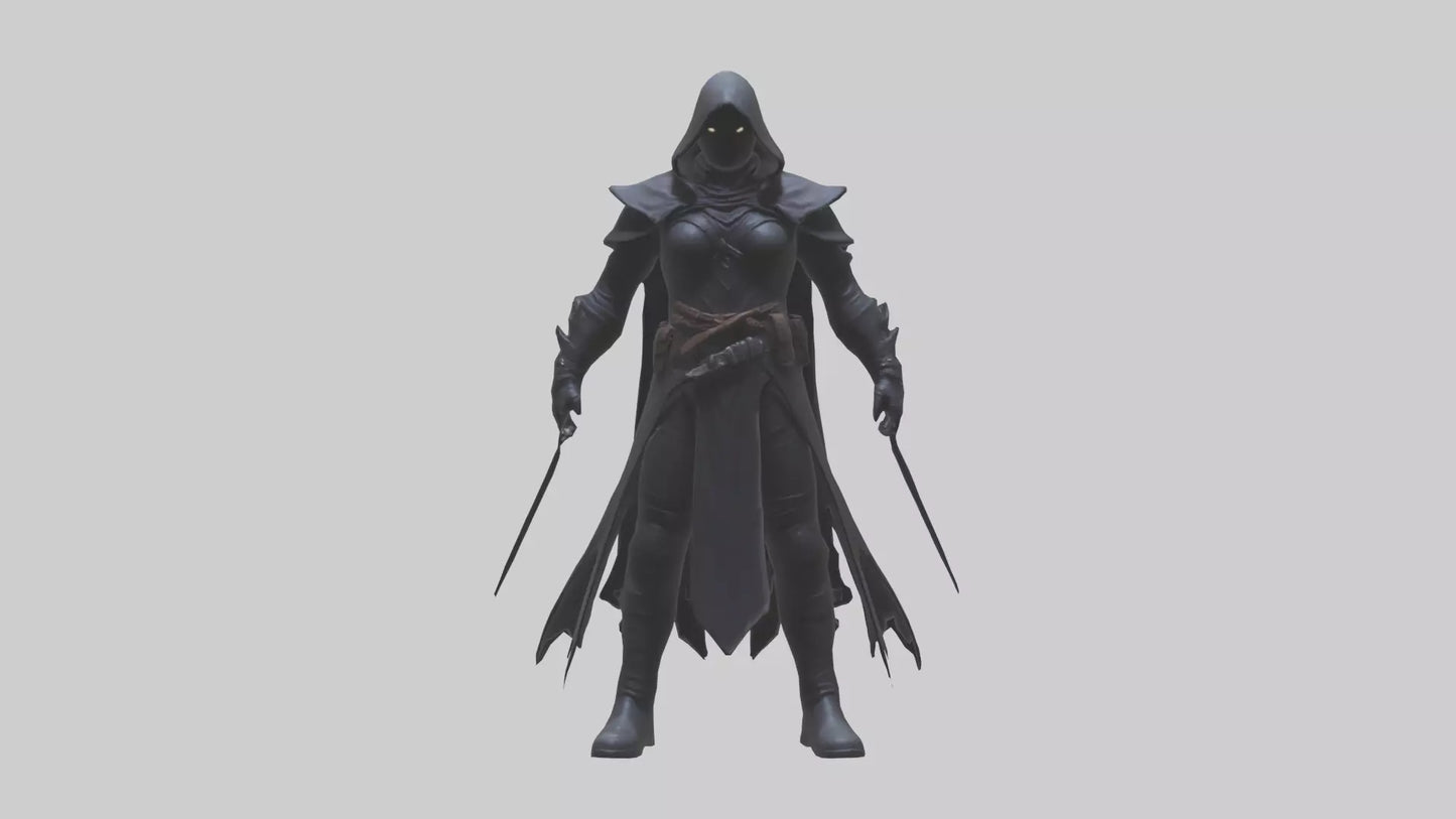 Shadow assassin model 3D model