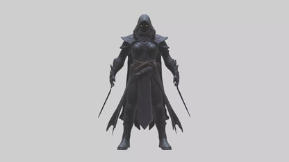 Shadow assassin model 3D model