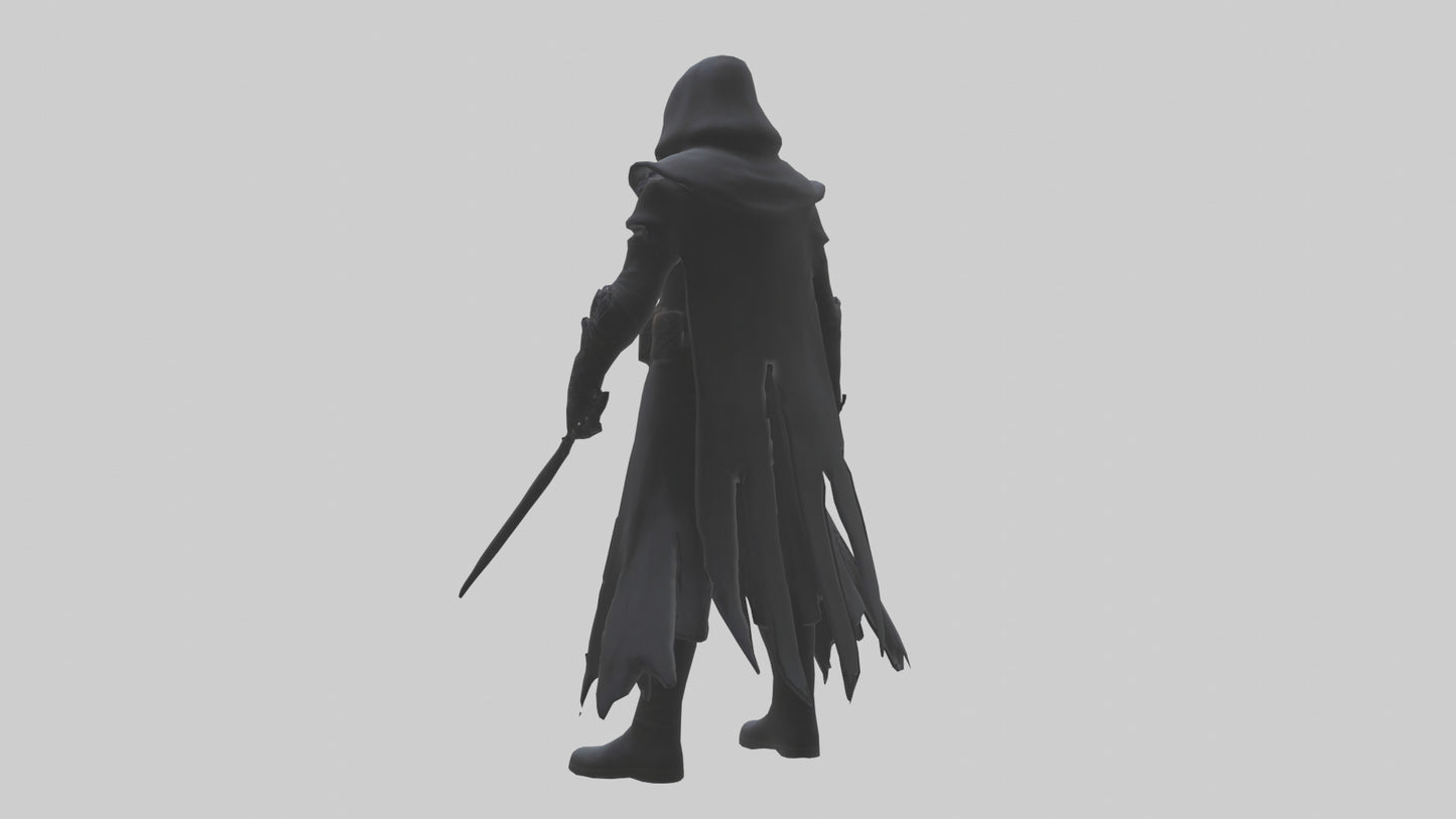 Shadow assassin model 3D model