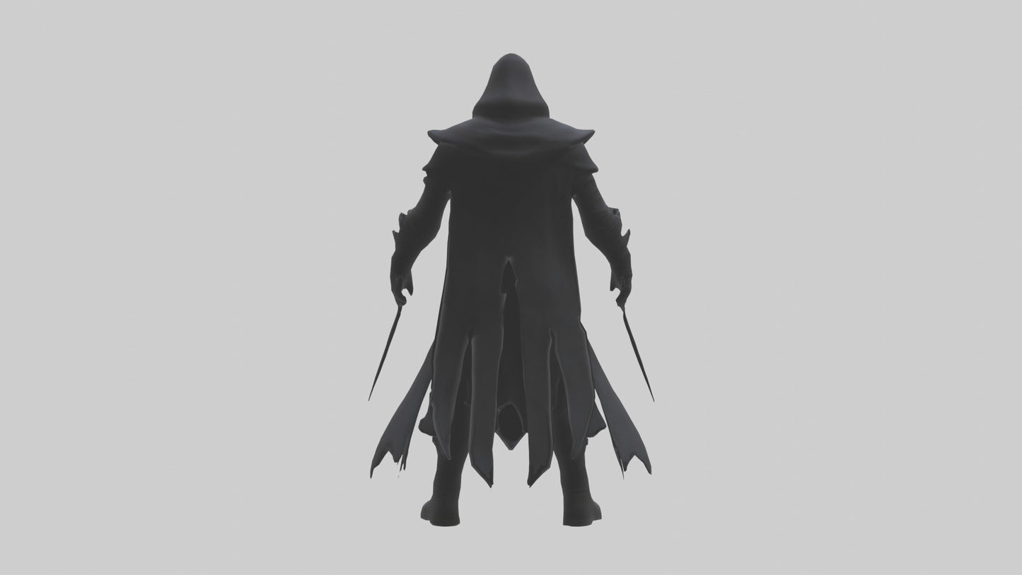 Shadow assassin model 3D model