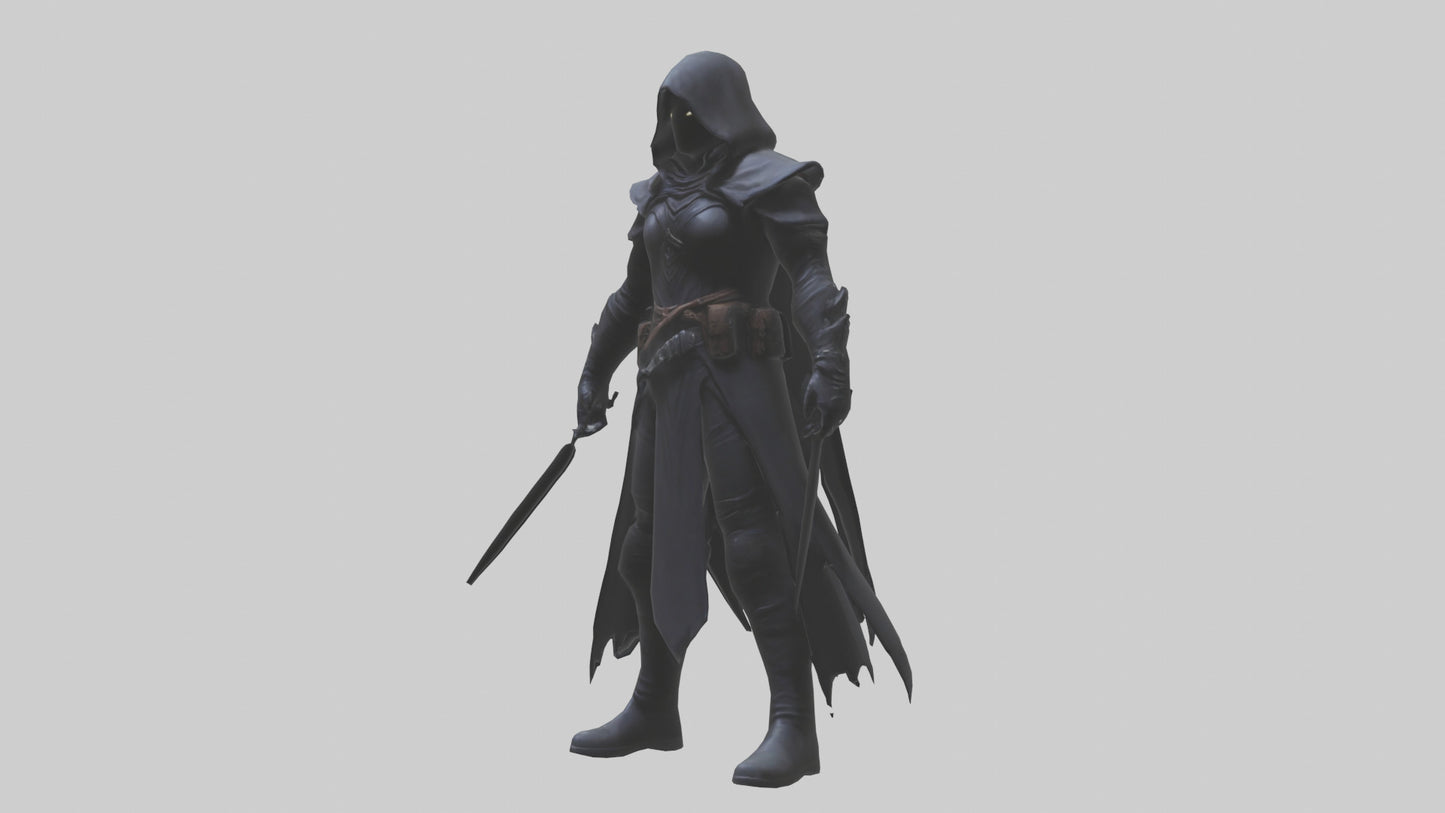 Shadow assassin model 3D model