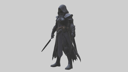Shadow assassin model 3D model