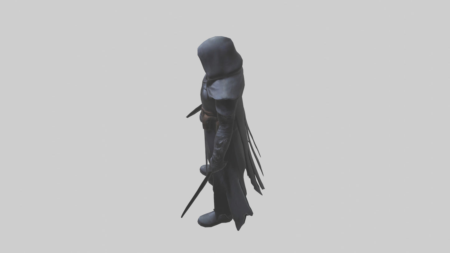 Shadow assassin model 3D model