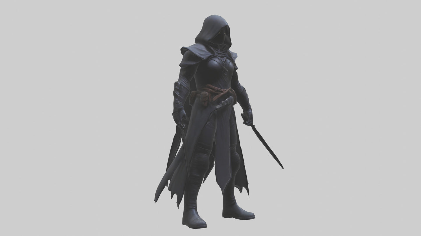 Shadow assassin model 3D model
