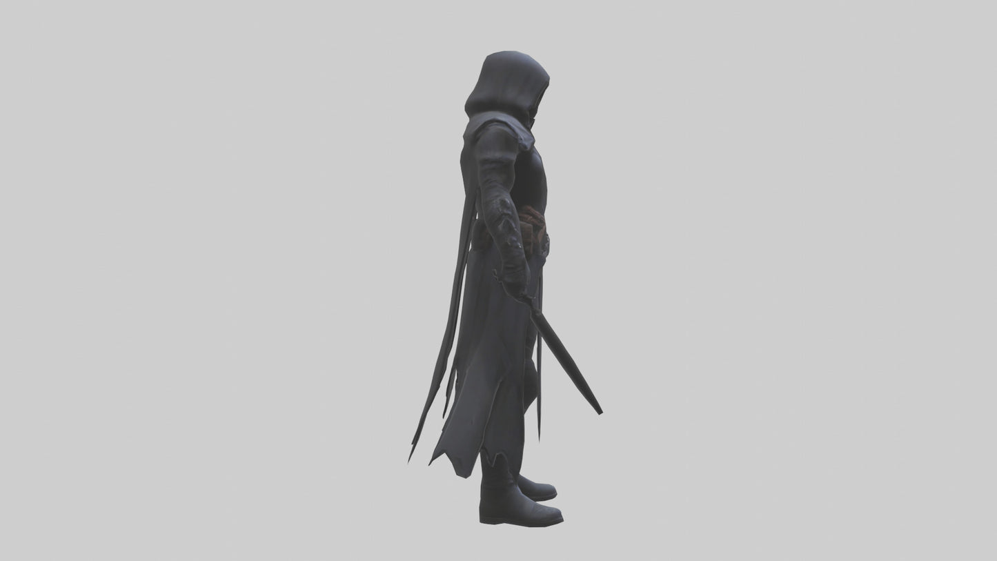 Shadow assassin model 3D model