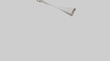 Shark Femur 3D model