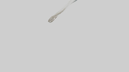 Shark Femur 3D model