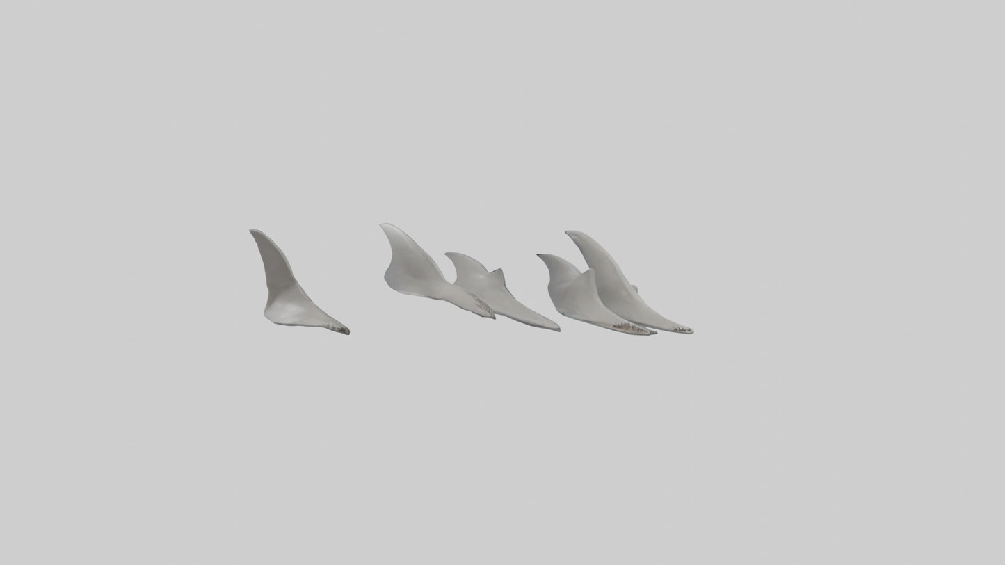 Shark Fins Model 3D model