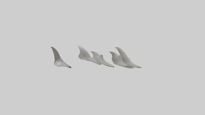 Shark Fins Model 3D model