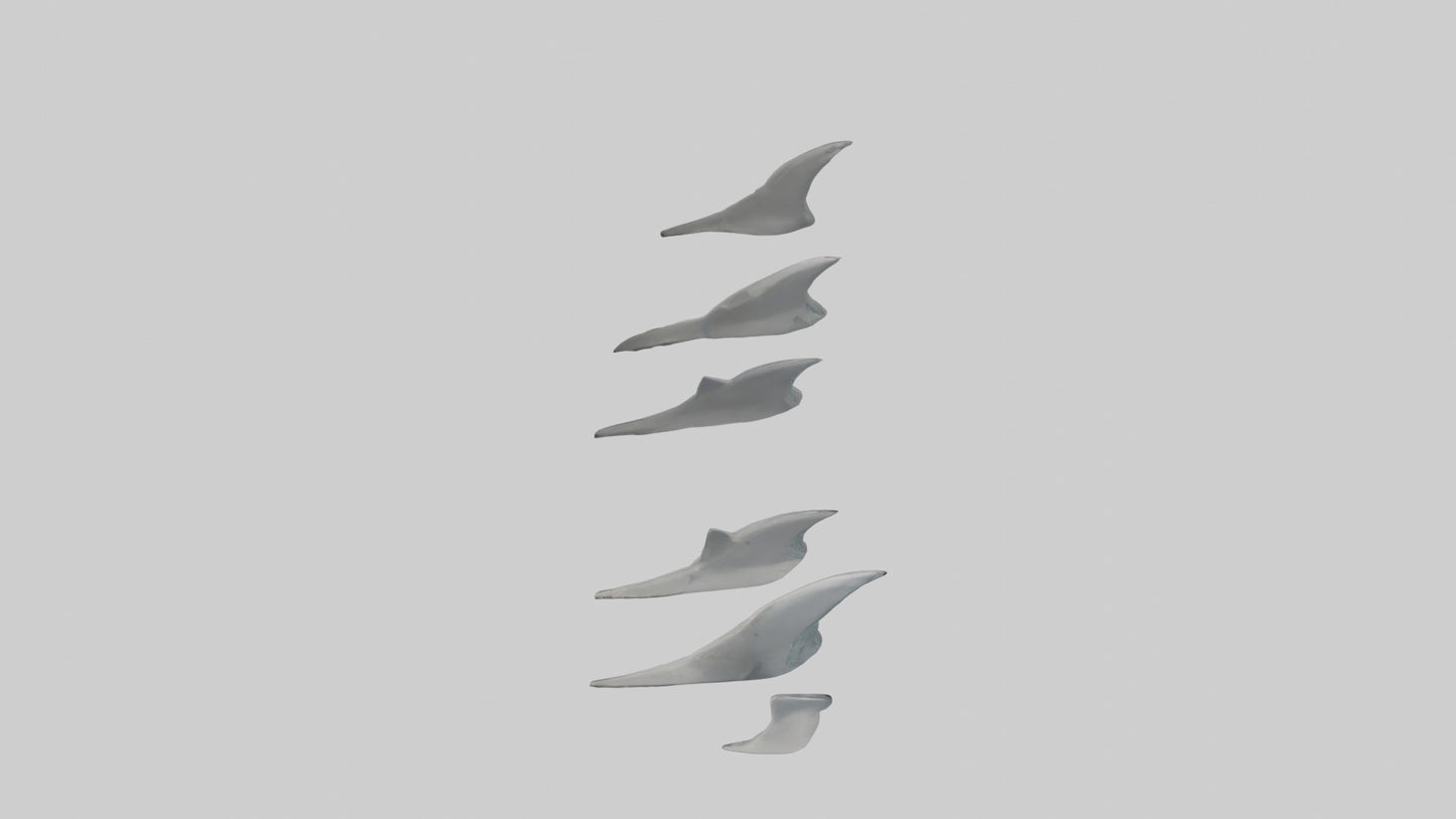 Shark Fins Model 3D model