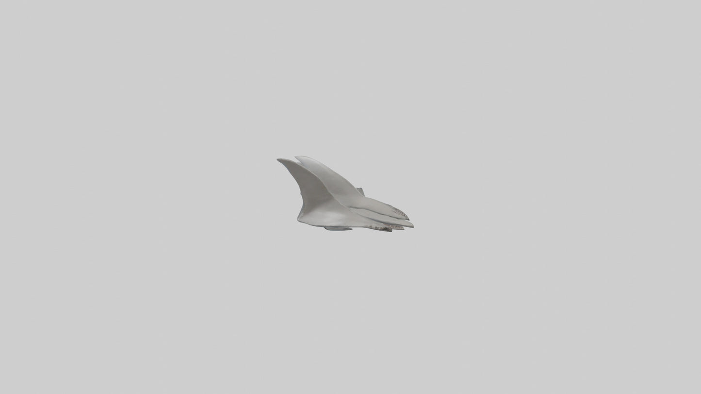 Shark Fins Model 3D model