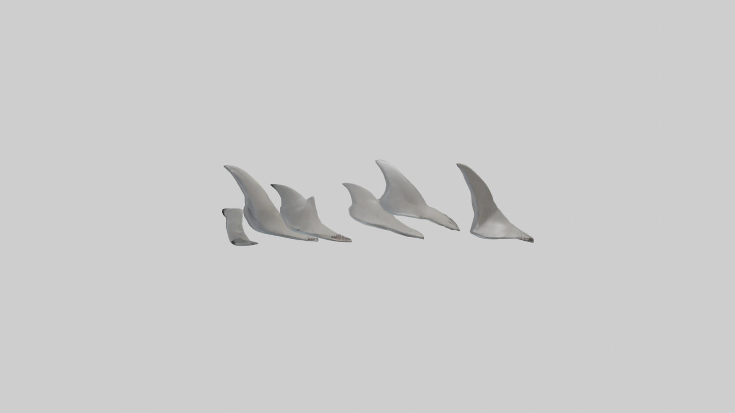 Shark Fins Model 3D model