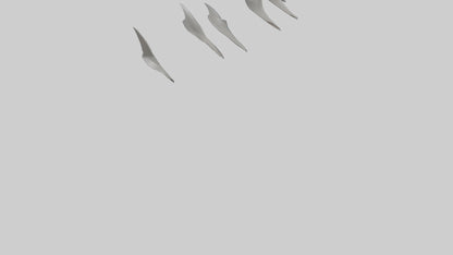 Shark Fins Model 3D model