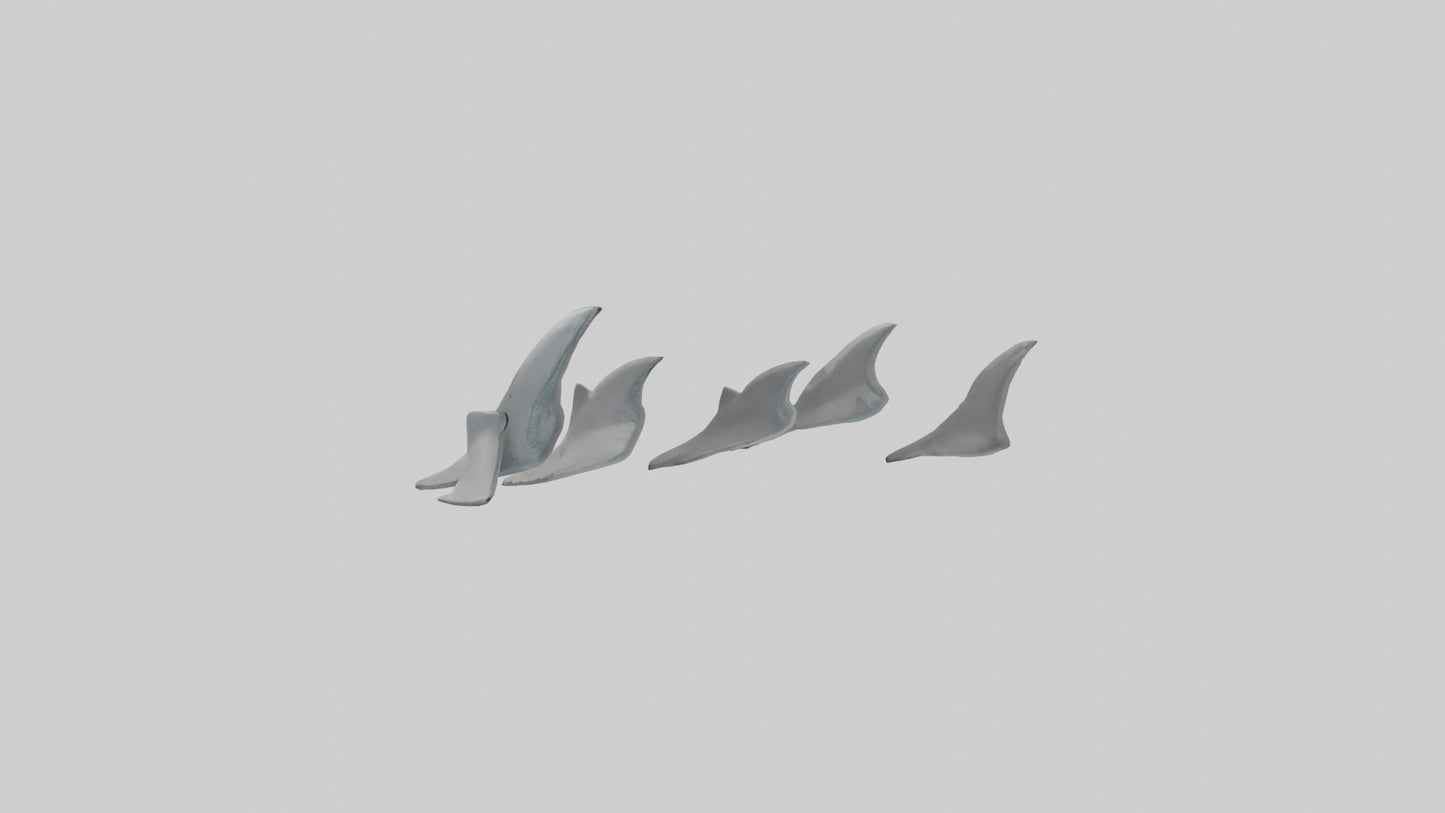 Shark Fins Model 3D model