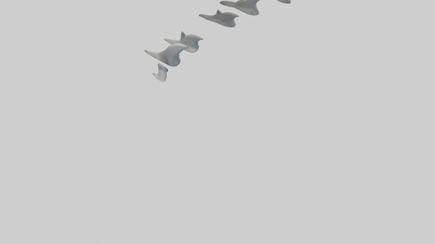 Shark Fins Model 3D model