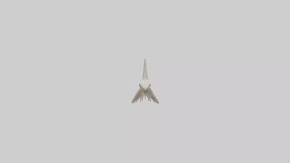 Shark Tooth Skeleton model 3D model