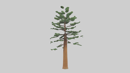 Shortleaf Pine tree model 3D model