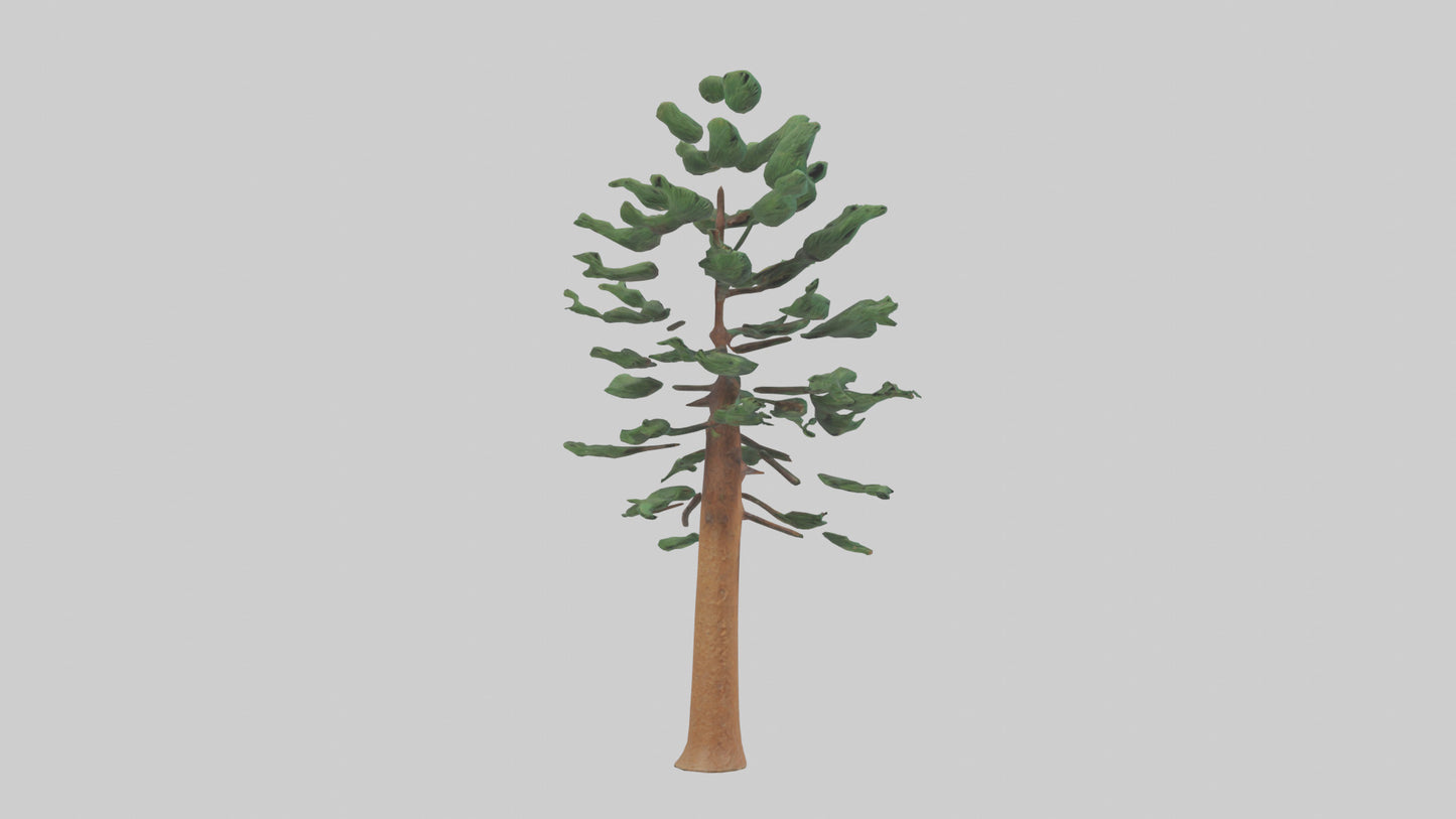 Shortleaf Pine tree model 3D model